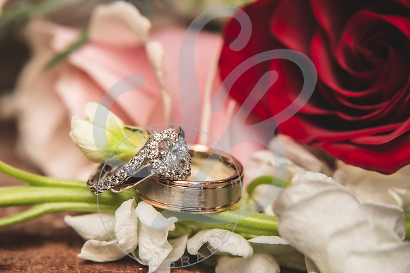 Melissa & Tim - Wedding Slideshow112721.205