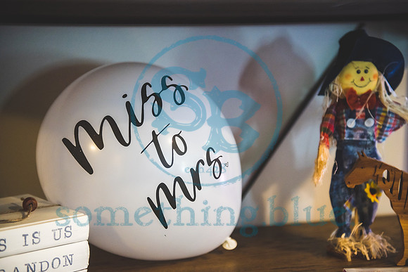 Brianna & LT - Wedding Slideshow008