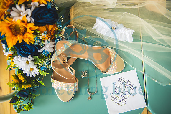 Brianna & LT - Wedding Slideshow029