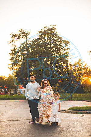 Batista Family - Maternity_110120_0125