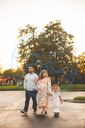 Batista Family - Maternity_110120_0127