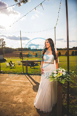 Kate & Tyler - Wedding Slideshow159