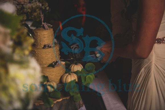 Kate & Tyler - Wedding Slideshow226
