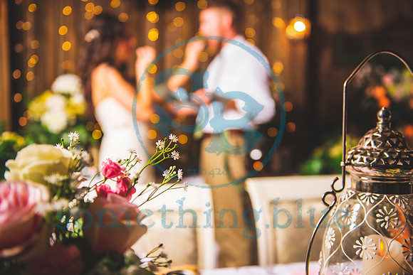 Kate & Tyler - Wedding Slideshow229