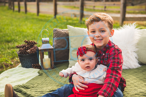 Christmas Card Minis -2020_111520_0306