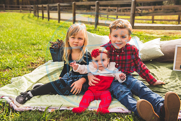 Christmas Card Minis -2020_111520_0361