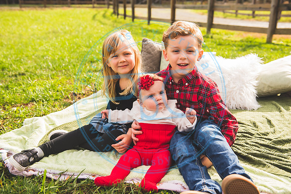 Christmas Card Minis -2020_111520_0372