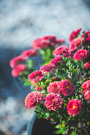 Ashley & Thomas - Wedding_102420_0254