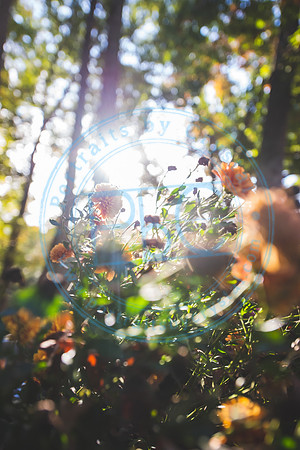 Ashley & Thomas - Wedding_102420_0283
