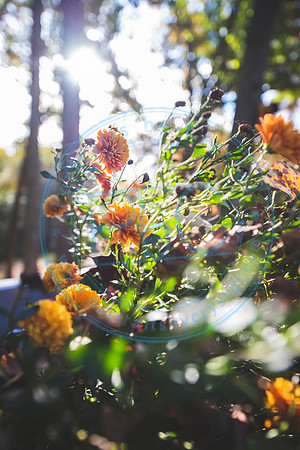 Ashley & Thomas - Wedding_102420_0284