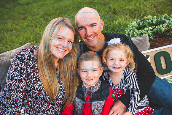 Christmas Card Minis - 2020_111520_1358