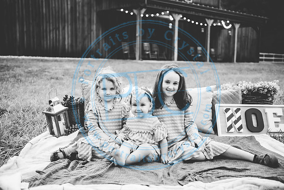 Christmas Card Minis - 2020_111520_1872