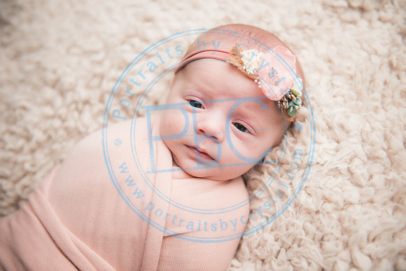 Ewing Twin Girls - Newborn_111320_0004