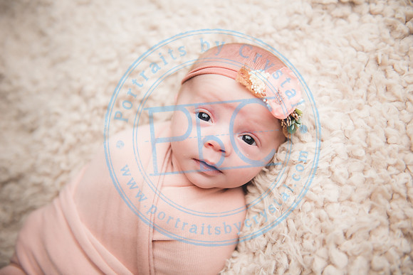 Ewing Twin Girls - Newborn_111320_0014