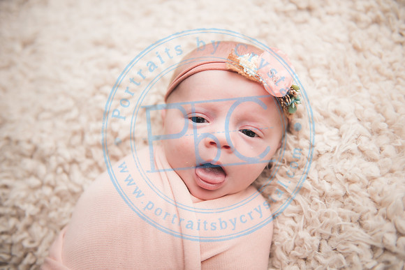 Ewing Twin Girls - Newborn_111320_0007