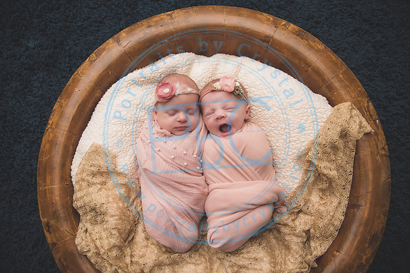 Ewing Twin Girls - Newborn_111320_0114