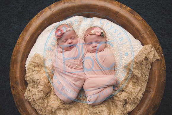 Ewing Twin Girls - Newborn_111320_0110