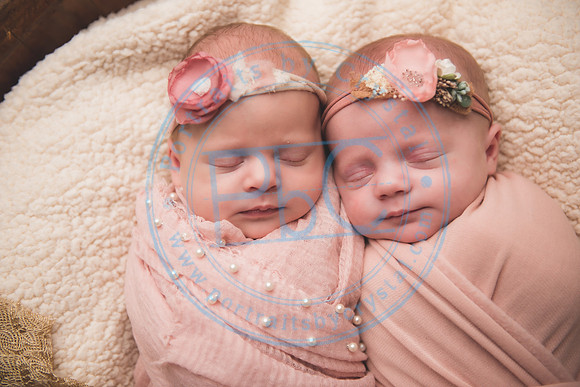 Ewing Twin Girls - Newborn_111320_0123