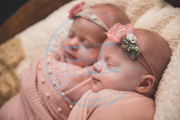 Ewing Twin Girls - Newborn_111320_0128