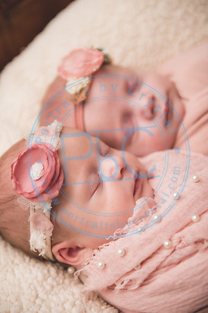 Ewing Twin Girls - Newborn_111320_0131