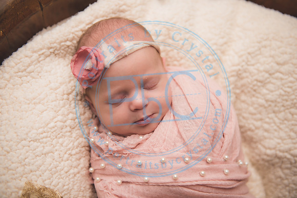 Ewing Twin Girls - Newborn_111320_0146