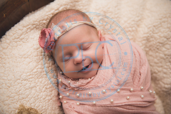 Ewing Twin Girls - Newborn_111320_0153