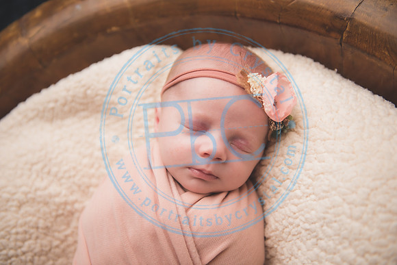 Ewing Twin Girls - Newborn_111320_0158