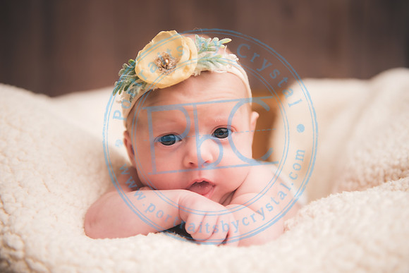 Ewing Twin Girls - Newborn_111320_0171