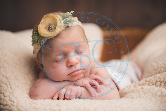 Ewing Twin Girls - Newborn_111320_0179