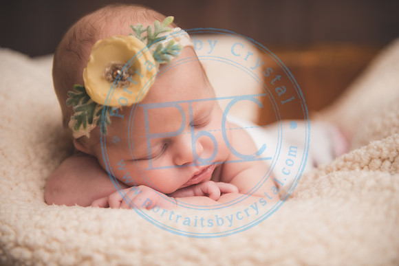 Ewing Twin Girls - Newborn_111320_0185