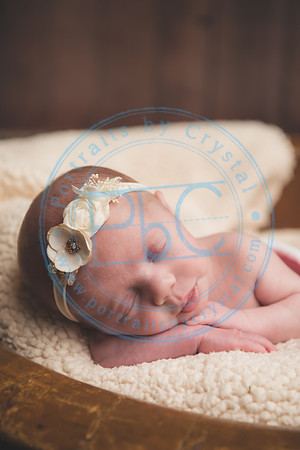Ewing Twin Girls - Newborn_111320_0209