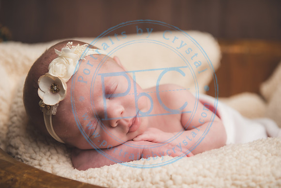 Ewing Twin Girls - Newborn_111320_0211