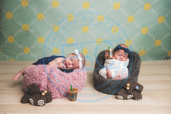 Ewing Twin Girls - Newborn_111320_0252