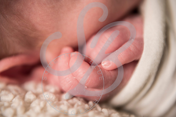 Granger - Newborn_060122_0107