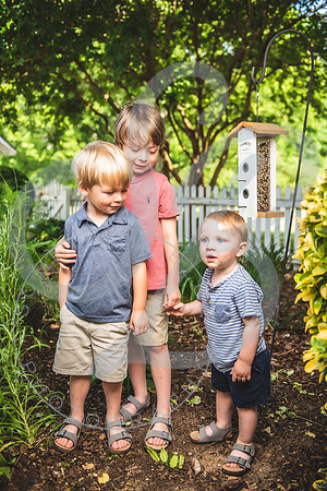 Wildflower Minis - Hicks Family_061222_0085