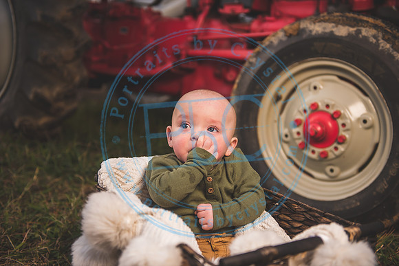 Blake - 8 Month_120620_0188