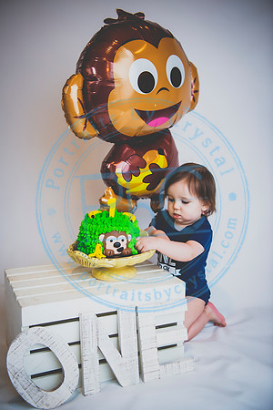 Alex - Smash Cake_031320_0130