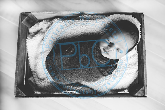 Nio - Newborn_010321_0170