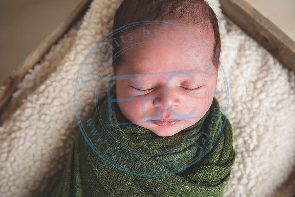 Nio - Newborn_010321_0172