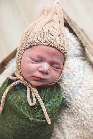 Nio - Newborn_010321_0182