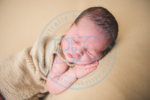 Nio - Newborn_010321_0216