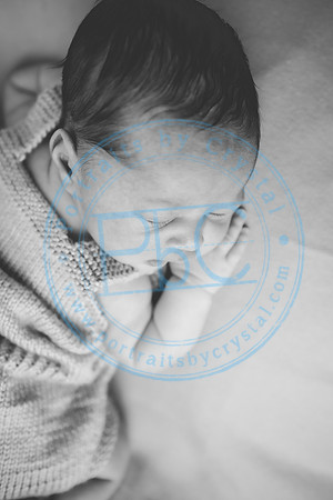 Nio - Newborn_010321_0219