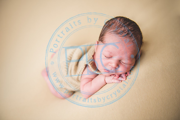 Nio - Newborn_010321_0252