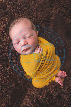 Nio - Newborn_010321_0276