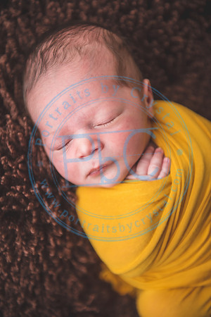 Nio - Newborn_010321_0281