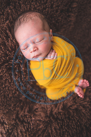 Nio - Newborn_010321_0285