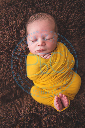 Nio - Newborn_010321_0291