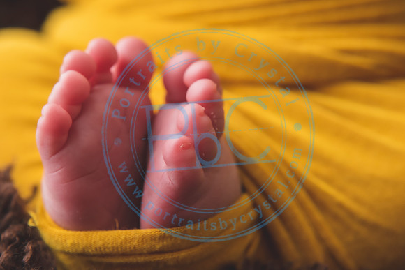Nio - Newborn_010321_0295