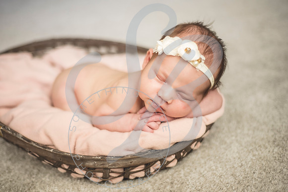 Isla - Newborn_010622_0053