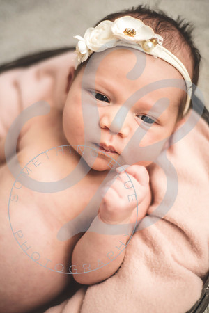Isla - Newborn_010622_0021